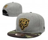 Gorra Chicago Bears Gris Verde