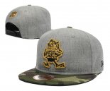 Gorra Cleveland Browns Gris Verde