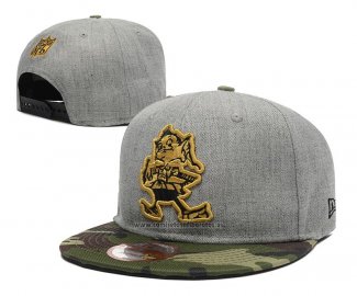Gorra Cleveland Browns Gris Verde
