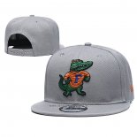 Gorra Florida Gators 9FIFTY Snapback Gris