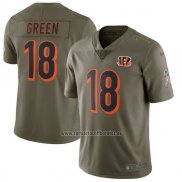 Camiseta NFL Limited Nino Cincinnati Bengals 18 Green 2017 Salute To Service Verde