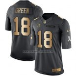 Camiseta NFL Gold Anthracite Cincinnati Bengals Green Salute To Service 2016 Negro