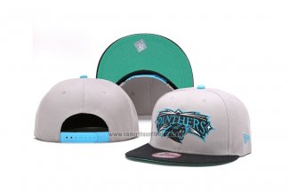 Gorra Carolina Panthers Snapbacks Gris