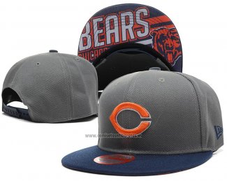 Gorra Chicago Bears Gris Azul