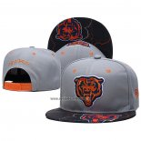 Gorra Chicago Bears Gris