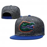 Gorra Florida Gators Azul Gris